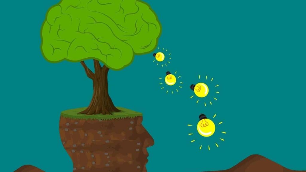 What Can You Buy With Food Stamps In Texas?